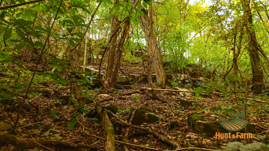 Still 2025-10-30 092500_1.69.1.png